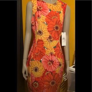 Calvin Klein Dress Women Size 6